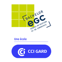 Ecole de commerce et de gestion internationale pour un master à Nîmes dans le Gard EGC Nîmes